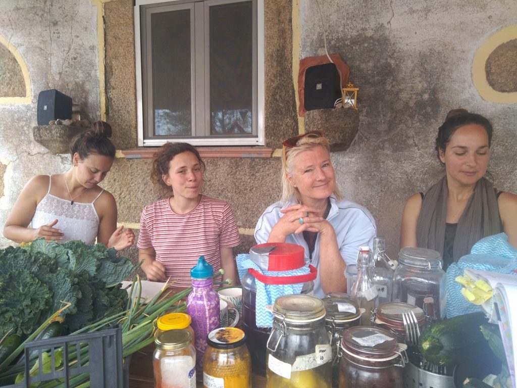 Fermenting workshops