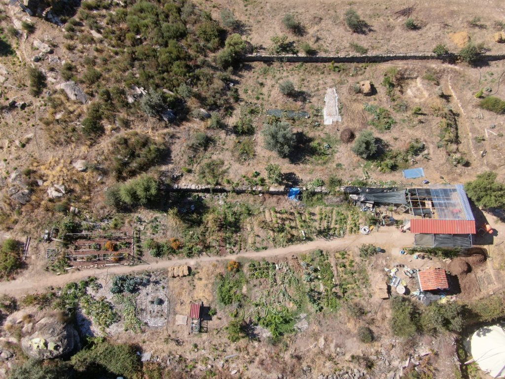 Food Forests