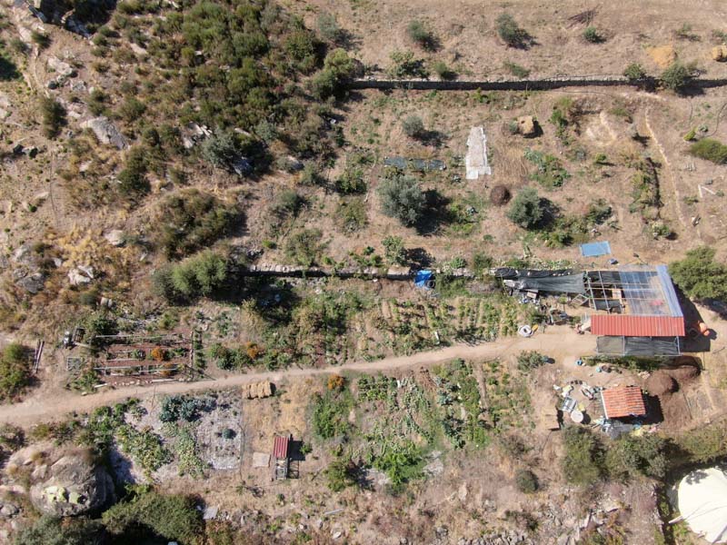 Food Forest in Portugal