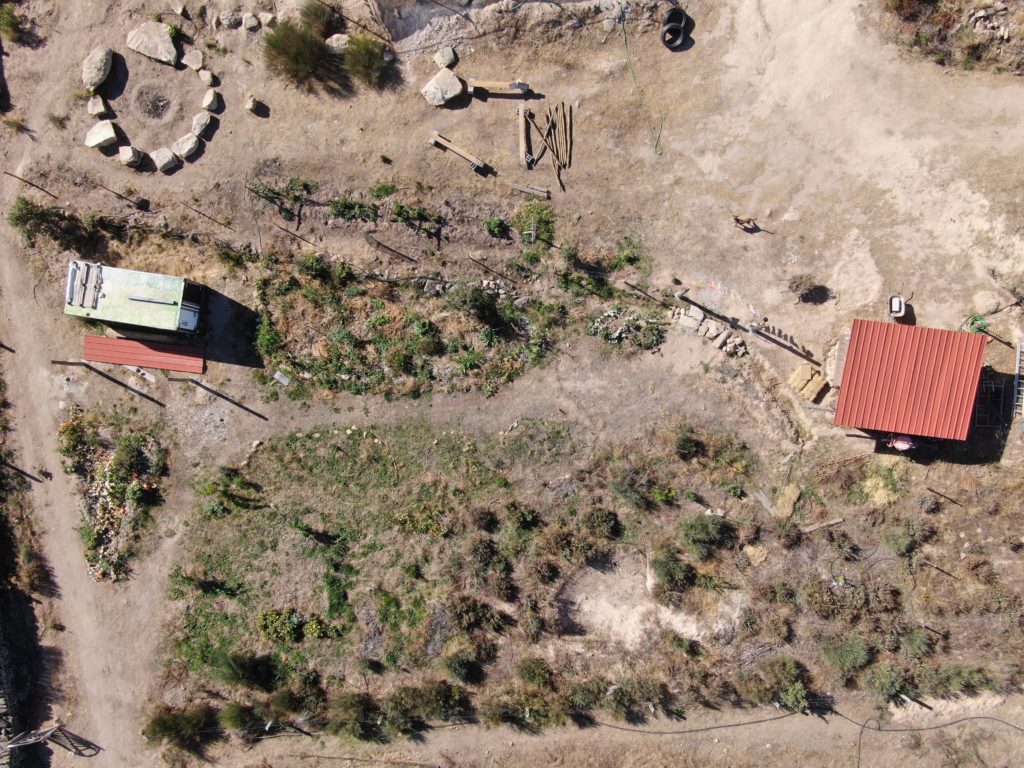 Chicken Food Forest