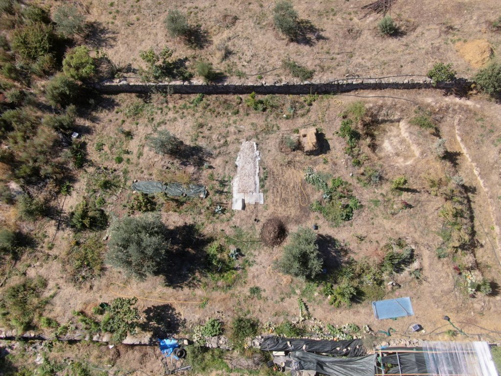 Olive Grove food forest