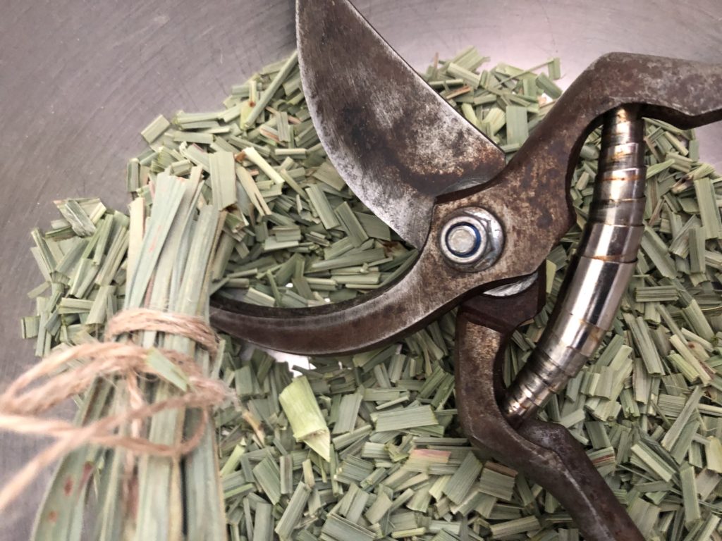 Drying Herbs