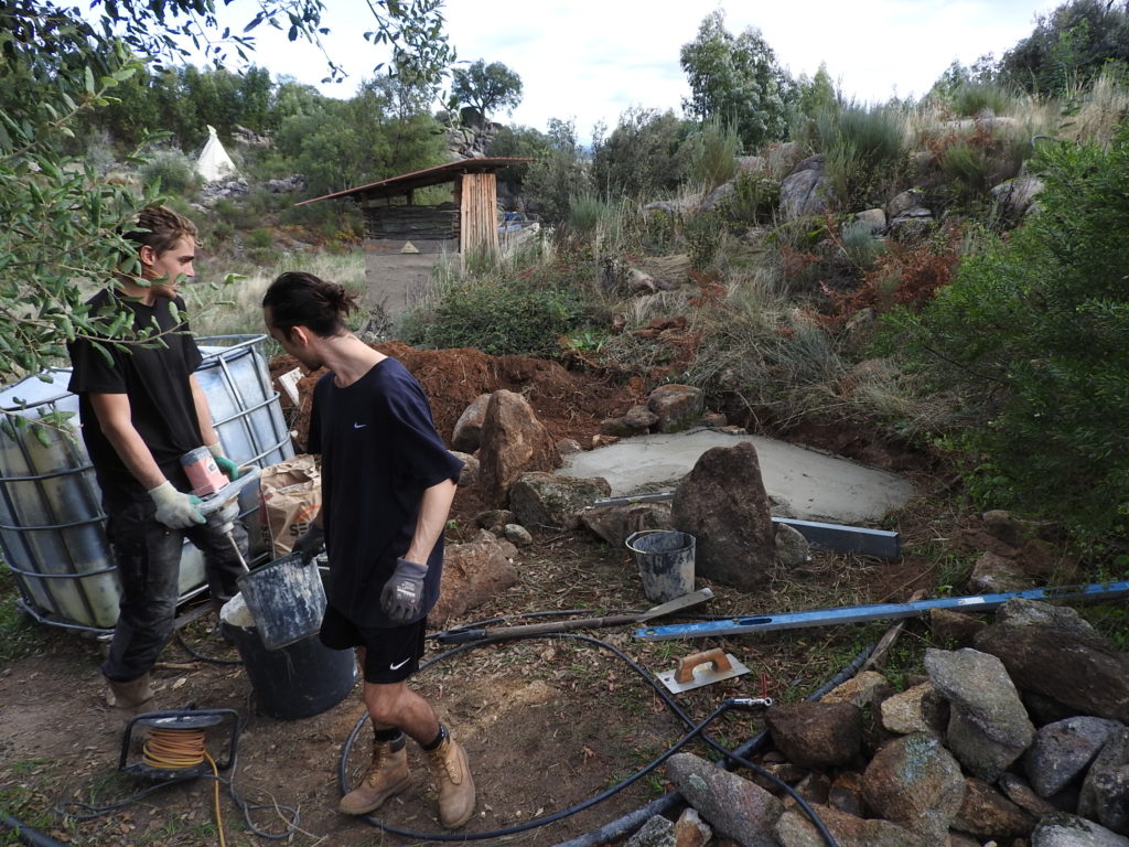 vermiculture flushing toilet