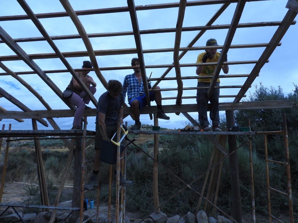 Up on the roof