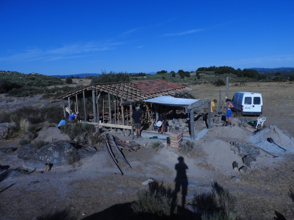 Barn coming along