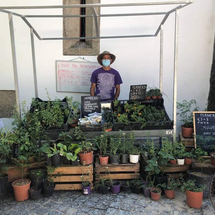 permaculture portugal 