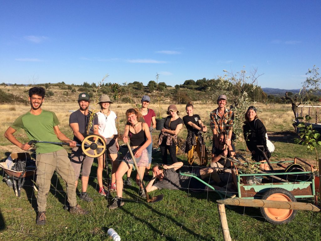 permaculture design course portugal