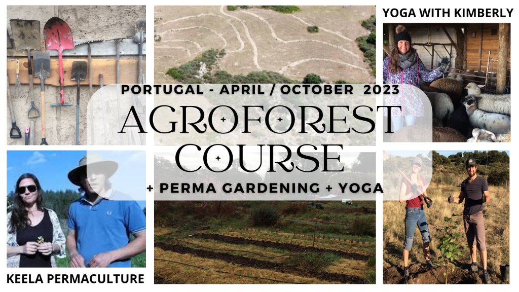 Food Forest Course Portugal