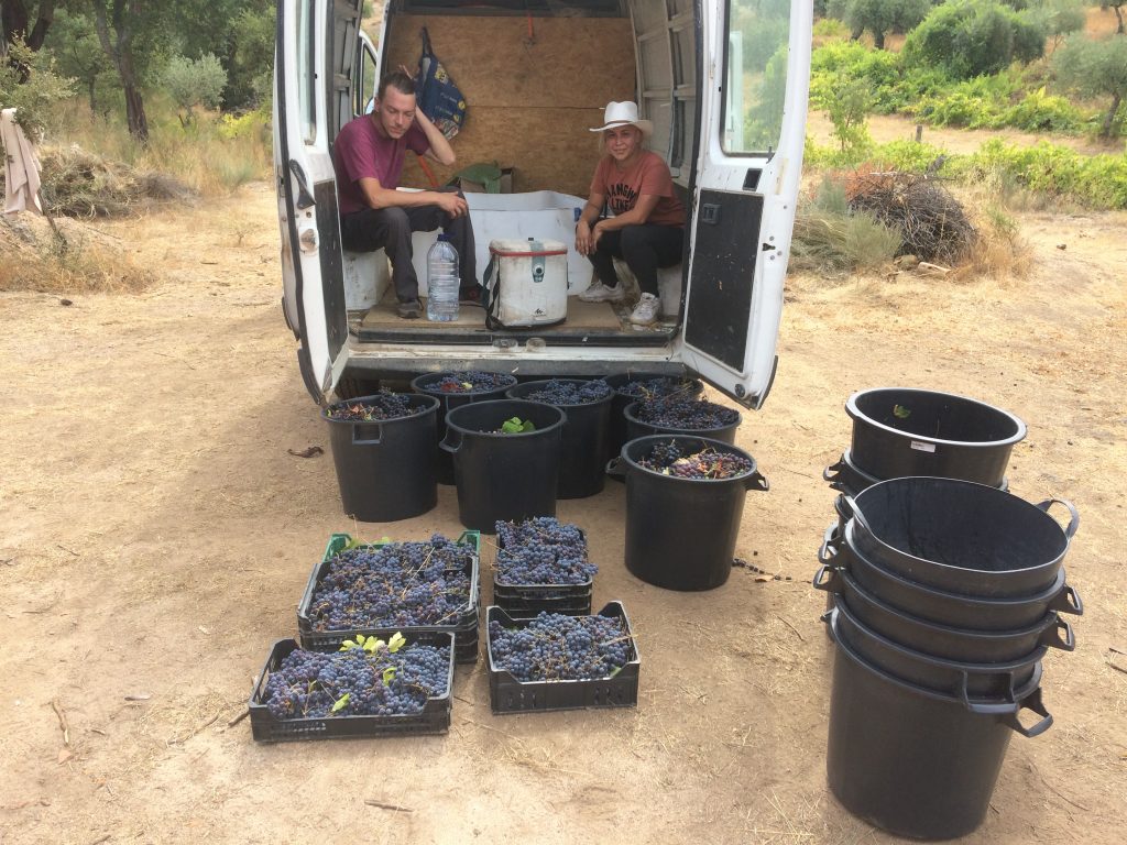 Clean Buckets and Crates