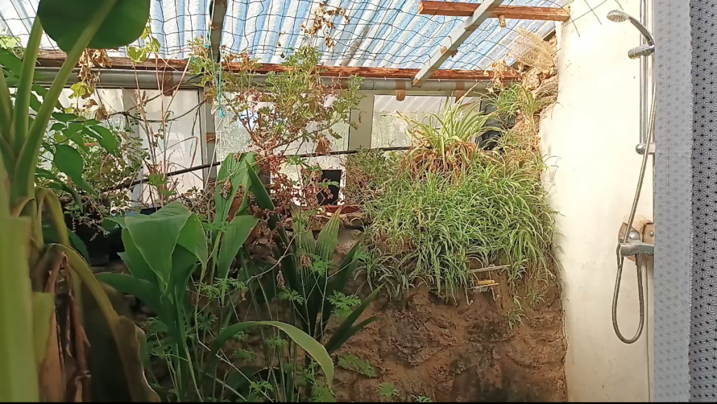 Greenhouse Shower room
