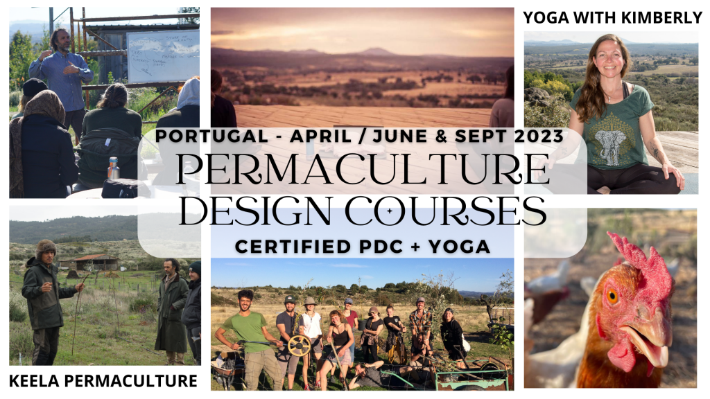 Permaculture Design Course Portugal