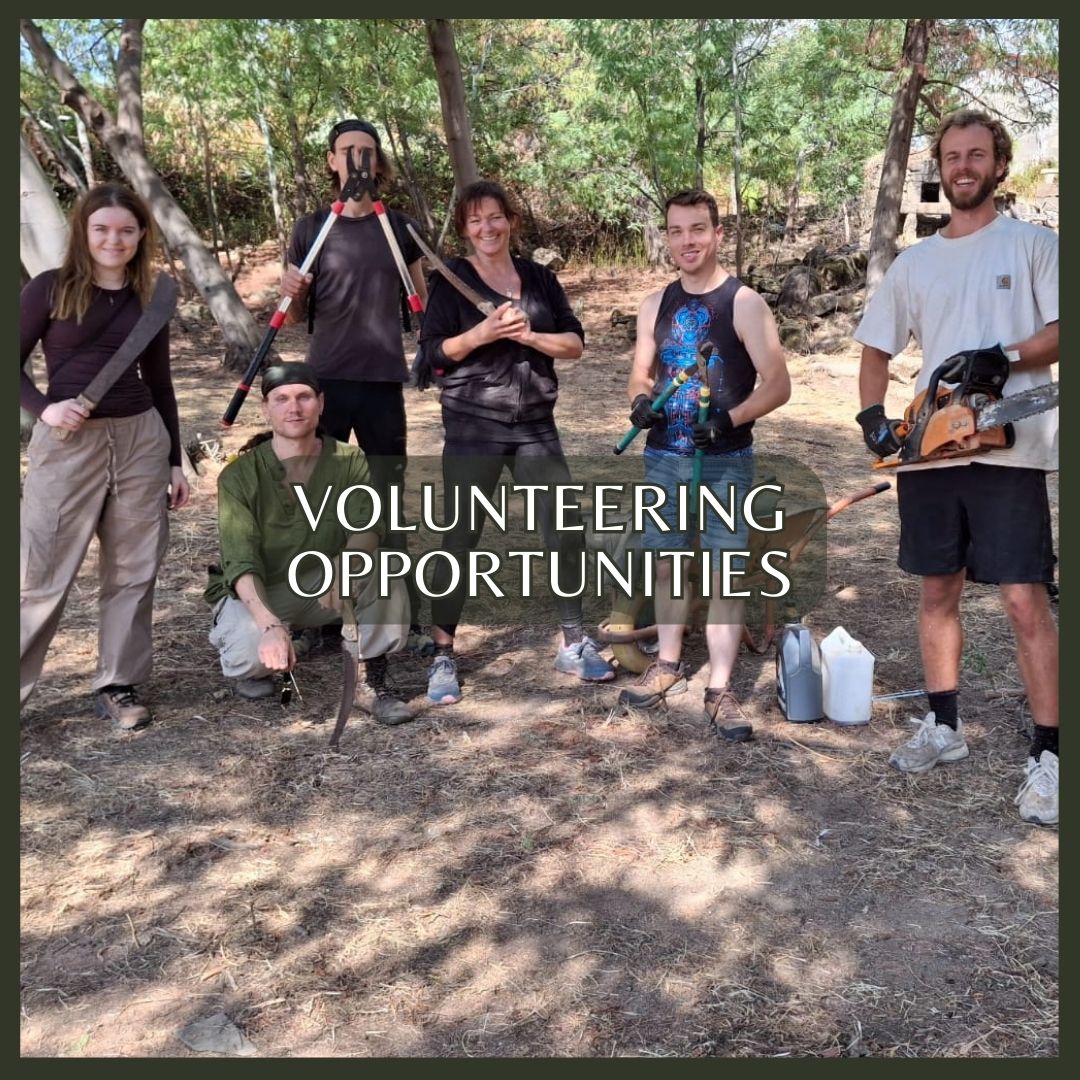 Permaculture Volunteering