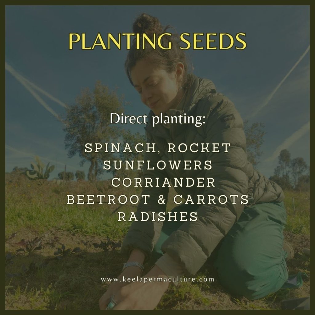 Direct planting seeds in march