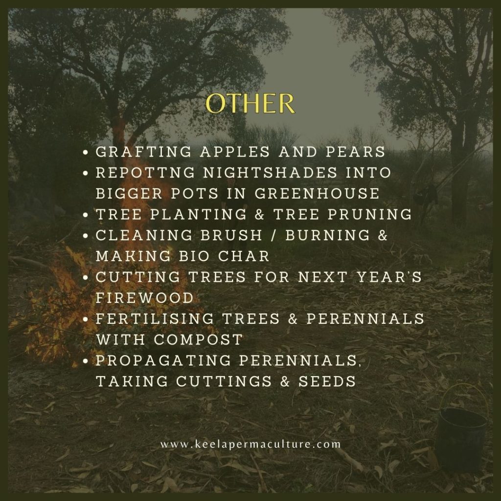 Farm tasks in march