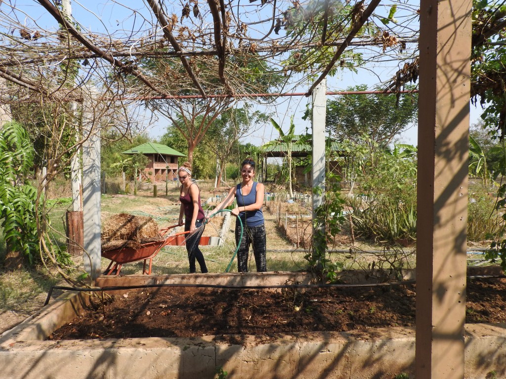 Huge Worm Compost