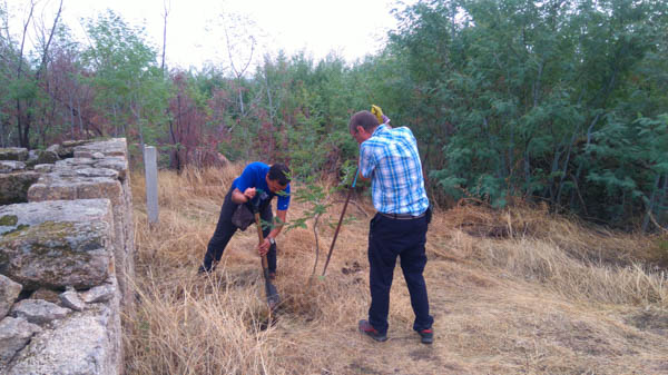 volunteering-portugal