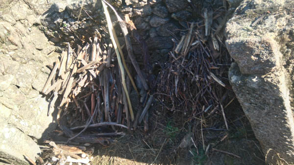 collecting-fire-wood