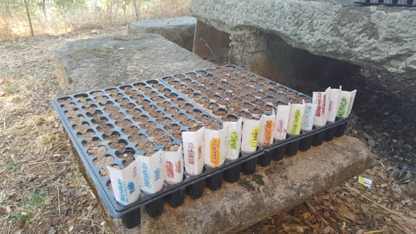 gardening-in-portugal