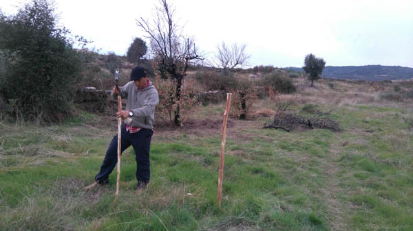 starting-a-food-forest-portugal