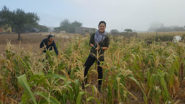volunteering-on-a-farm-in-portugal