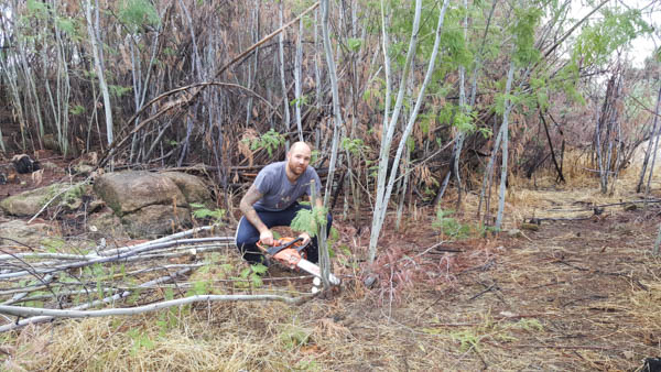 using-mimosa-volunteering-portugal