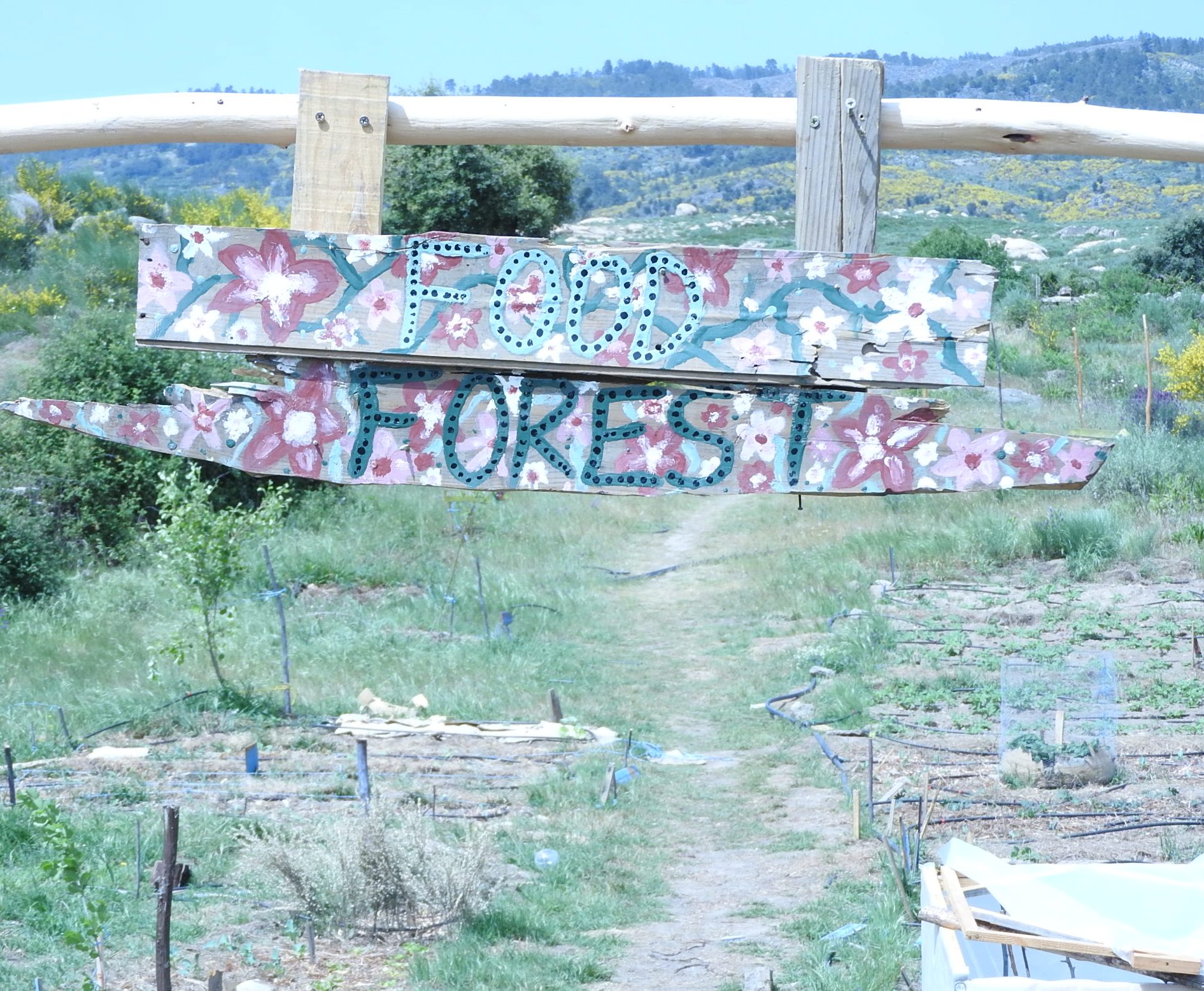 Food Forest Course Portugal