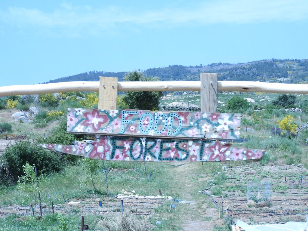 Food Forest Portugal