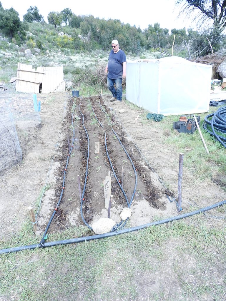 building a bed