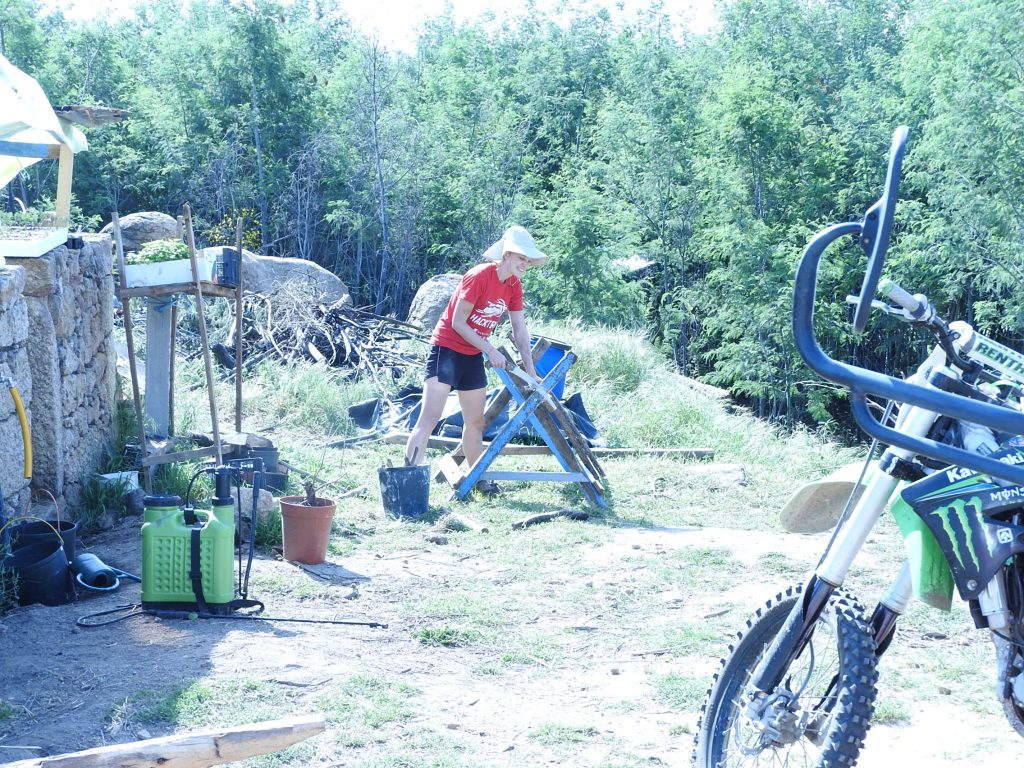 cutting fire wood