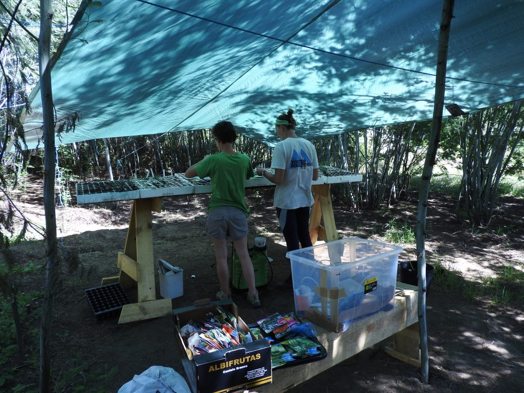 volunteer gardening