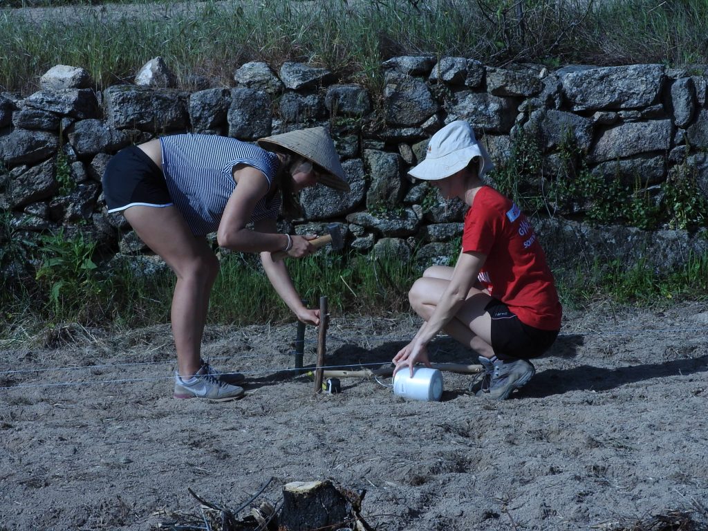 volunteer permaculture design
