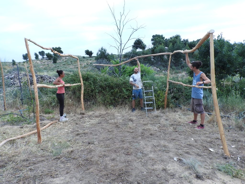 We cleared some trees for our fire break and turned it into a shade house for our reforestation efforts