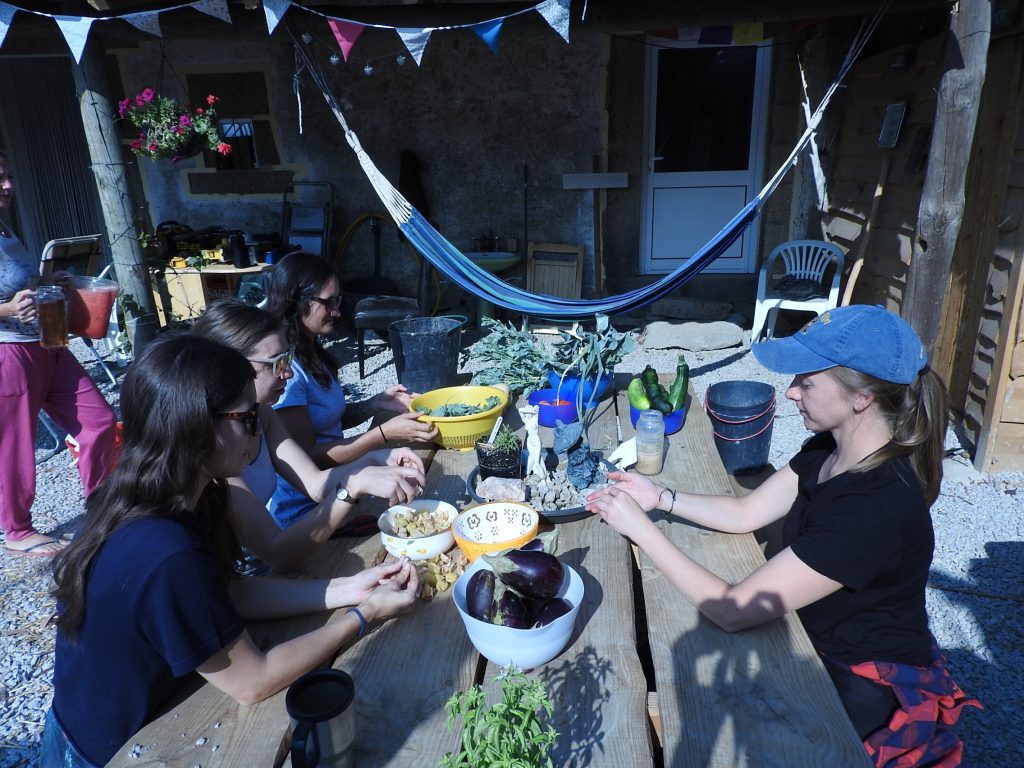 Volunteers collected vegetables and seeds and helped separated them for cooking