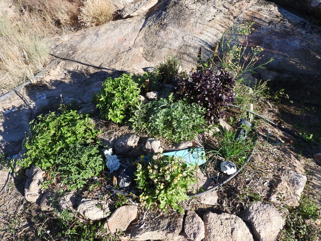 Herb Spiral