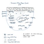 Blue Bean Tree Guild