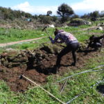 Digging