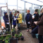 Selecting companion plants for the guilds