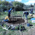 Planting trees in guilds