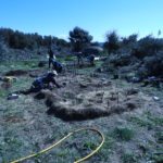 Planting trees