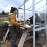 Carpentry Day