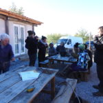 Grafting Trees