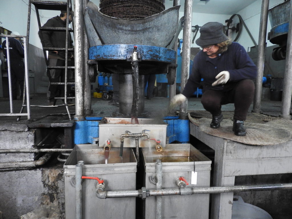 Seperating oil from water