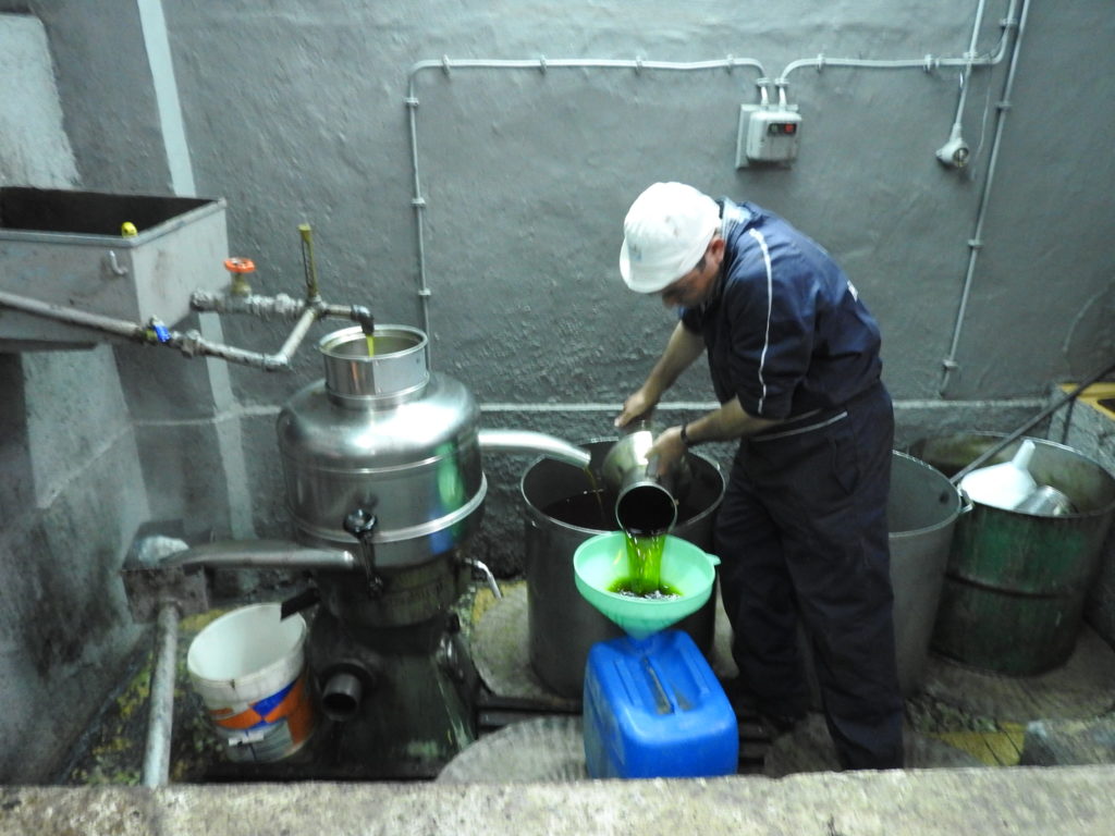 Oilve oil