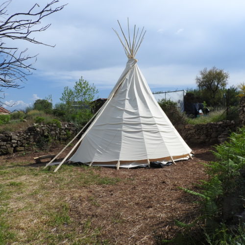tipi