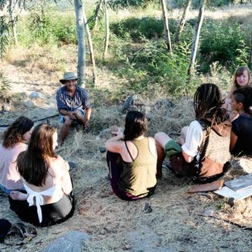 Permaculture internships