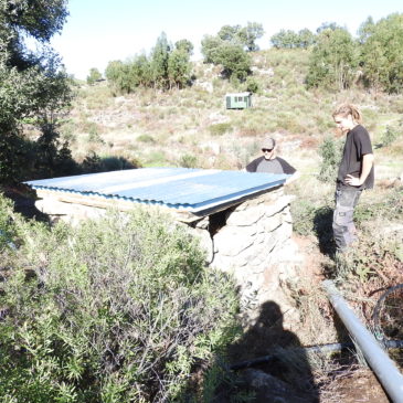 vermiculture flushing toilet (18)