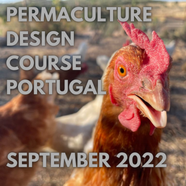Permaculture design course Portugal