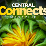22-11-Front Cover