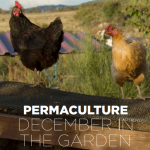 gardening in portugal