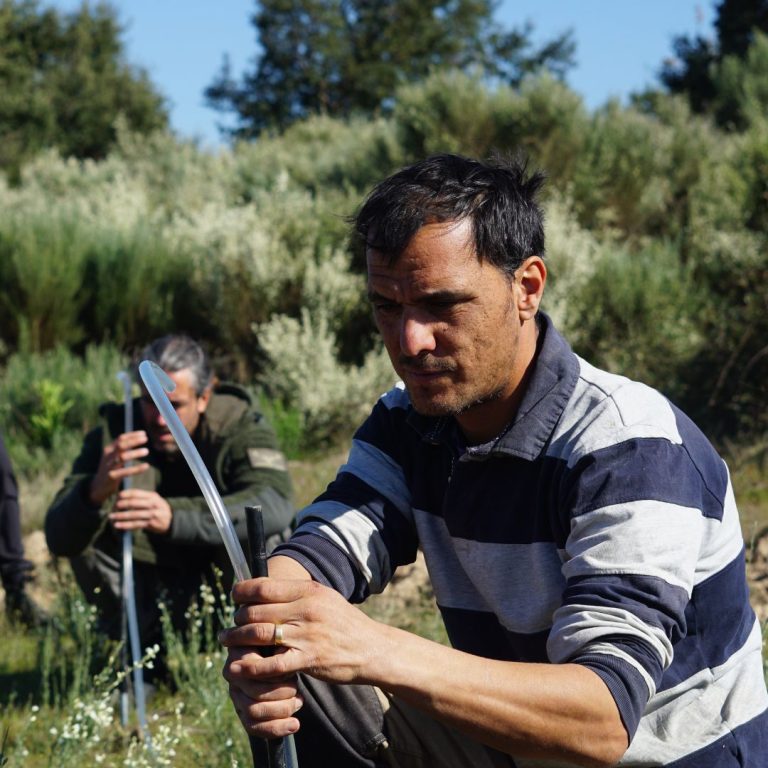 Site surveying, analysis and drawing of maps